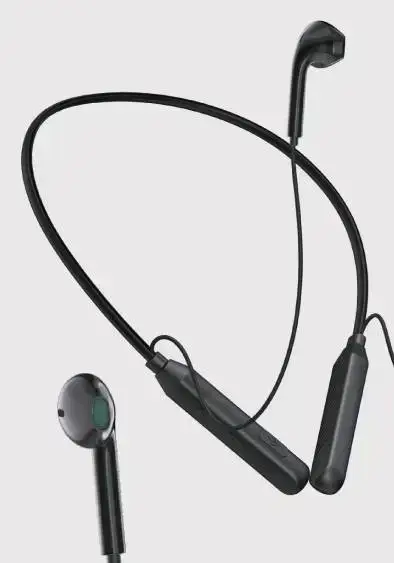 BT-561 - Imagen 4